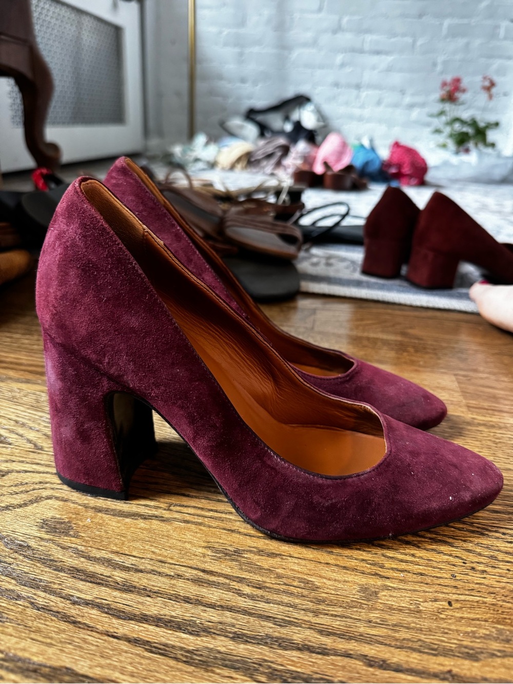 Aquatalia Burgundy Suede Pumps